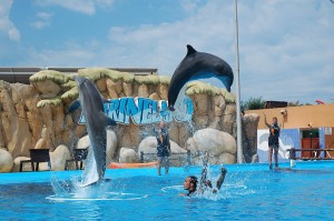 Дельфинарий Marine Land на острове Майорка (Остров Майорка)