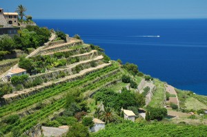  (Остров Майорка)