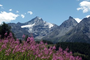 Горные массивы Альп, пролегающие через север Италии