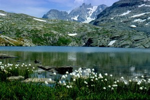 Национальный парк Вануаз (Parc national de la Vanoise) в горнолыжной области Три Долины (Франция)