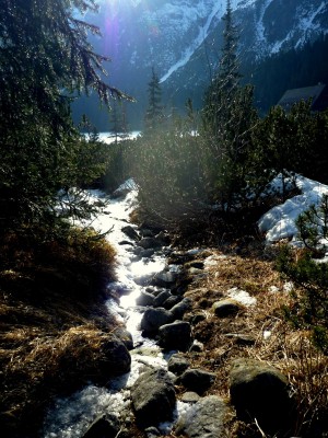 Высокие Татры. Солнце и горный ручей (Словакия)