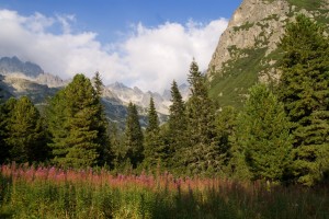 Осень в Татрах (Словакия)