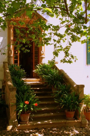  (Остров Майорка)