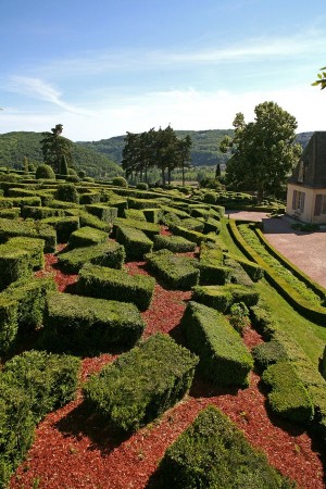 Правильные прямоугольники из кустов самшита (Франция)