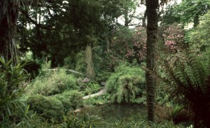 Разнообразие растительности в садах Хелигана (Великобритания (Англия))