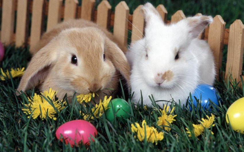 Фото достопримечательностей других стран Европы: Кролик с древних времен служил символом плодородия, а яйцо &mdash; символ новой жизни