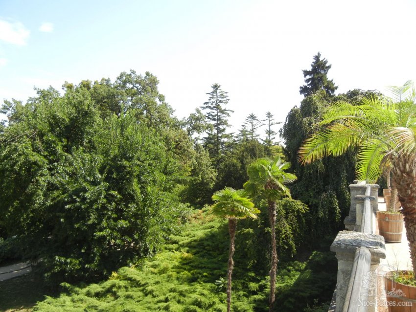 Фото достопримечательностей Чехии: Это не Испания или Италия, это парк возле Ледницкого замка в Чехии