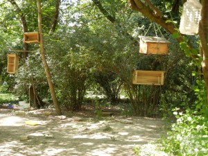 Кормушки в городском парке Пьештян (Словакия)