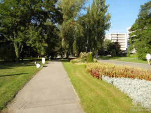 Аллея в парке на СПА-острове (Словакия)