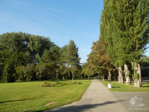 Дорожка в парке на СПА-острове (Словакия)