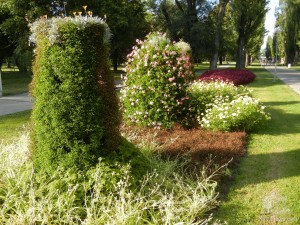 Клумбы на главной аллее СПА-острова Пьештян (Словакия)