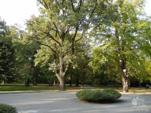 Парк "Сад Янка Краля". Братислава, Петржалка (Словакия)