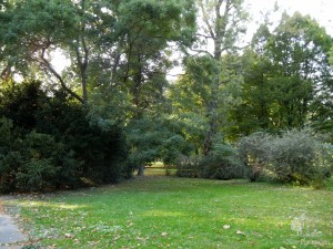 Парк "Сад Янка Краля". Братислава, Петржалка (Словакия)