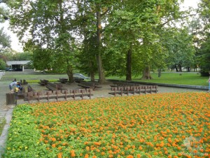 Лавочки и клумба чернобрывцев в саду Янка Краля (Словакия)
