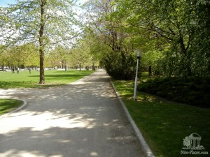 Парк при медицинском университете (Словакия)