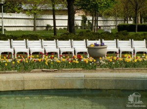 Парк "Медицинский сад" в Братиславе (Словакия)