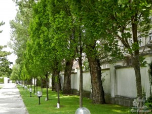 Аллея президентов в парке Грассалковича при президентском дворце в Братиславе (Словакия)