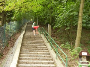 Горный парк в Братиславе. Ступеньки, ведущие на вершину холма (Словакия)