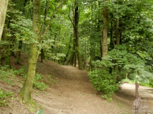 Горный парк (Horský park). Братислава (Словакия)