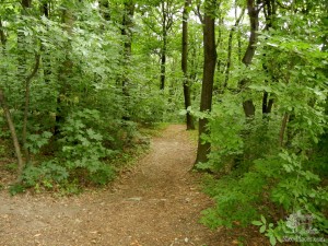 Горный парк (Horský park). Братислава (Словакия)