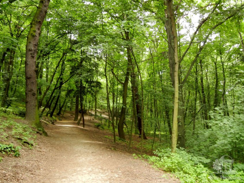 Фото достопримечательностей Словакии: Горный парк (Horský park). Братислава