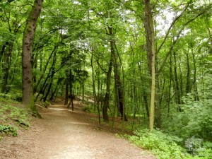 Горный парк (Horský park). Братислава (Словакия)