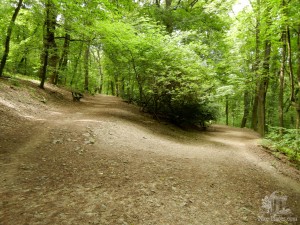 Горный парк (Horský park). Братислава (Словакия)