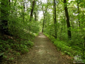 Горный парк (Horský park). Братислава (Словакия)