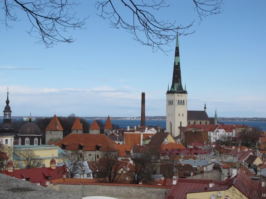 Фото достопримечательностей Прибалтики: Возвышающийся над старым Таллином шпиль церкви Олевисте
