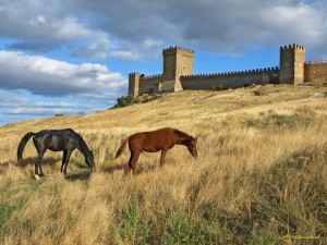 Пасущиеся кони недалеко от крепости
