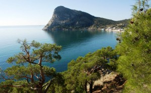 Можжевеловые рощи в районе Нового Света, недалеко от Судака