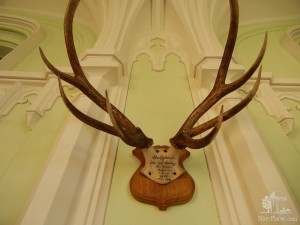 Охотничьи трофеи на стенах коридора (Чехия)