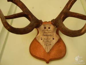 Охотничьи трофеи на стенах коридора (Чехия)