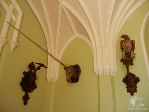 Гипсовая голова единорога с рогом из зуба нарвала и чучело морского орла (Чехия)