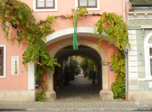 Арка во дворик винодельни (Австрия)