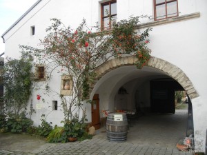 Очарование средневековых домиков Руста