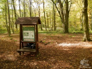 Научная тропа в заповеднике Нива Дые (Чехия)