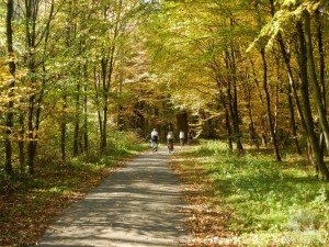 Вело-дорожка в заповеднике