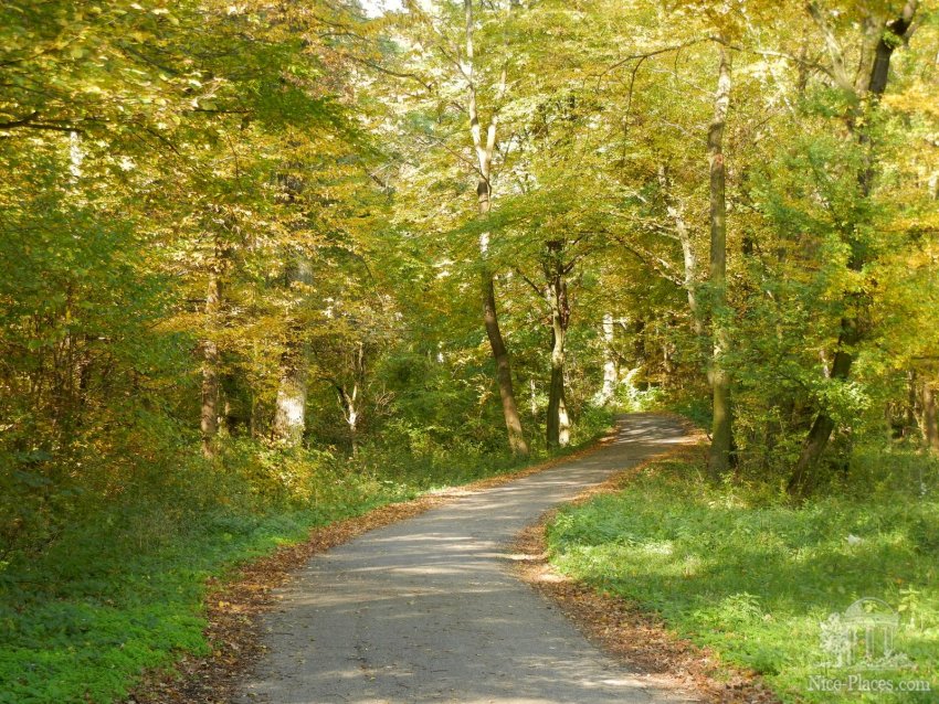 Фото достопримечательностей Чехии: Вело-дорожка в заповеднике Нива-Дые