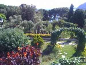 Сад на территории отеля Форментор (Остров Майорка)