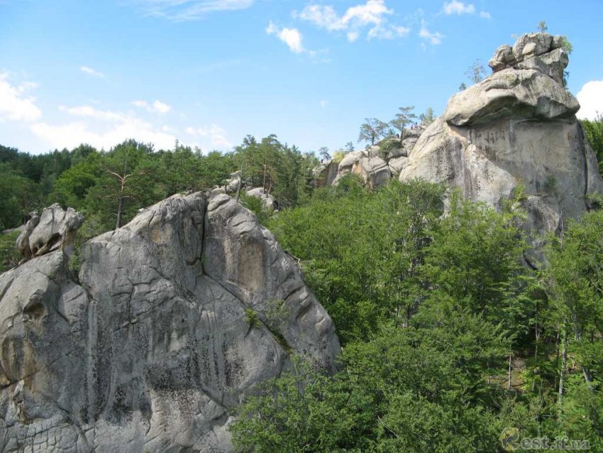 Фото достопримечательностей Карпат и Закарпатья: Отшлифованные природой скалы посреди хвойного леса