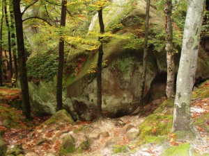 Заповедная зона "Скалы Довбуша" (Карпаты и Закарпатье)