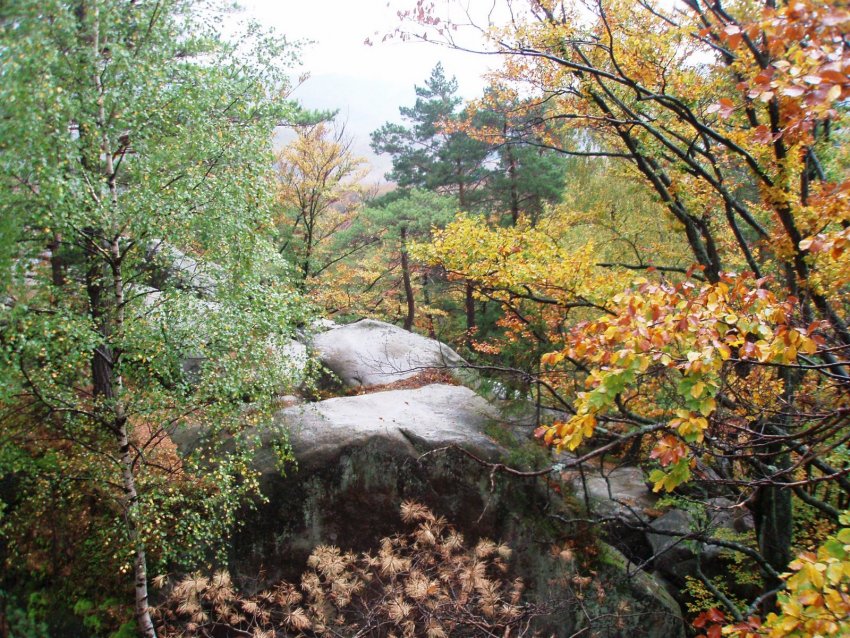 Фото достопримечательностей Карпат и Закарпатья: Природный заповедник "Скалы Довбуша"