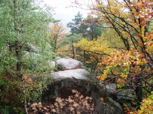 Природный заповедник "Скалы Довбуша" (Карпаты и Закарпатье)