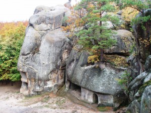 Природный заповедник "Скалы Довбуша" (Карпаты и Закарпатье)
