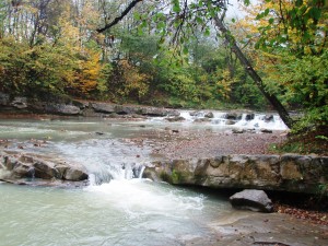 Бурный поток в природном заповеднике "Скалы Довбуша" (Карпаты и Закарпатье)