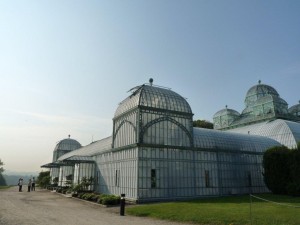 Оранжерейный комплекс Лаекен (Брюссель)