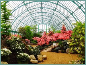 Оранжерейный комплекс Лаекен в Брюсселе (Брюссель)