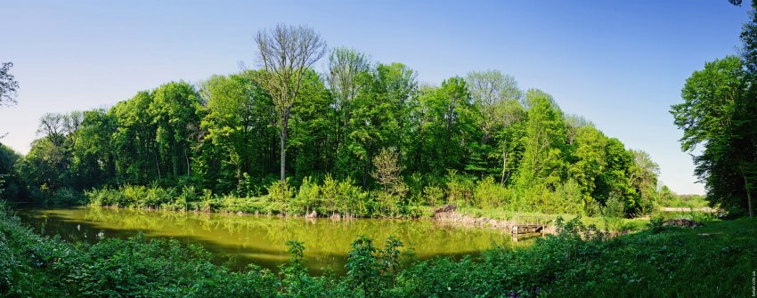 Фото достопримечательностей Других достопримечательностей Украины: Природа заповедника «Урочище Холодный Яр»