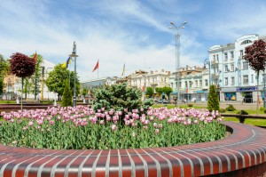 Клумба в центре Винницы. Фотограф Василий Бондарчук